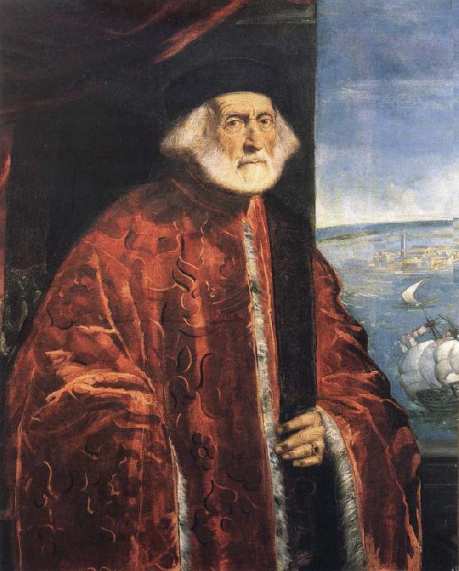 Jacopo Tintoretto Portrait of a Venetian Procurator oil painting image